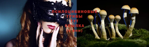 дживик Медногорск