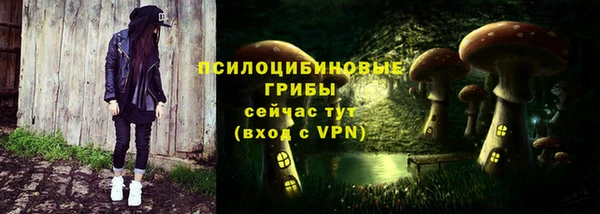 стафф Медвежьегорск